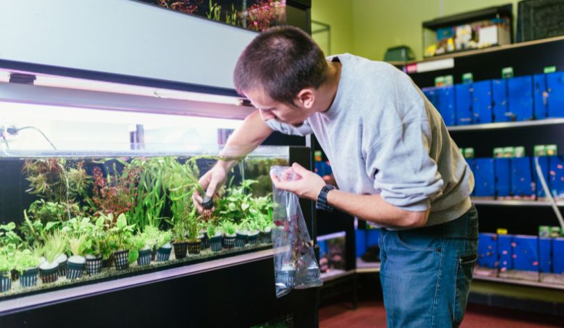 How To Make An Aquarium Shop Website