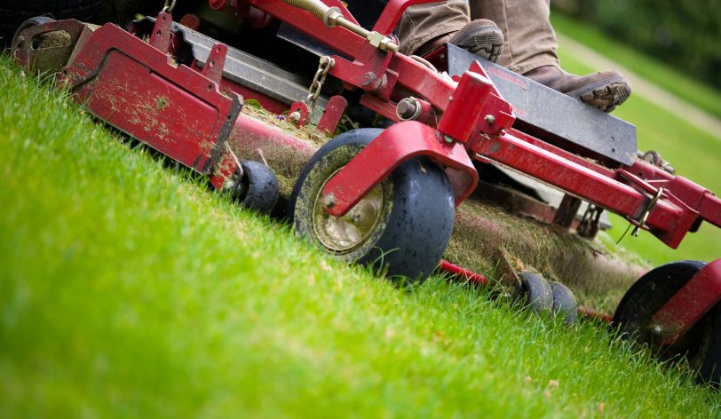 Website Builder For Lawn Care Businesses